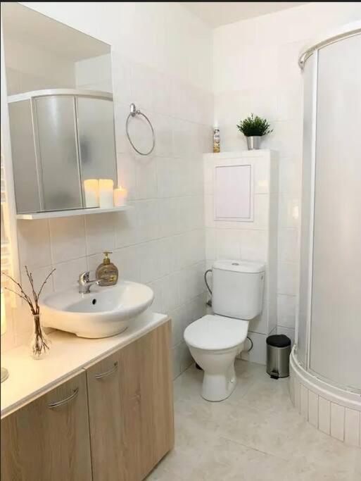 Utulny Byt V Jizerskych Horach -Apartman Mili Kořenov エクステリア 写真