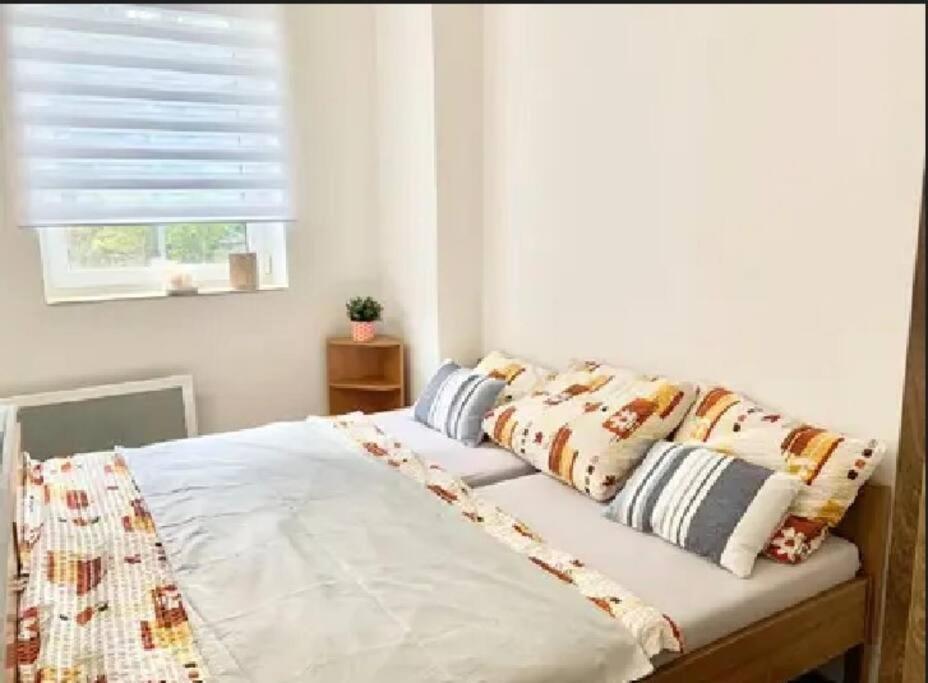 Utulny Byt V Jizerskych Horach -Apartman Mili Kořenov エクステリア 写真